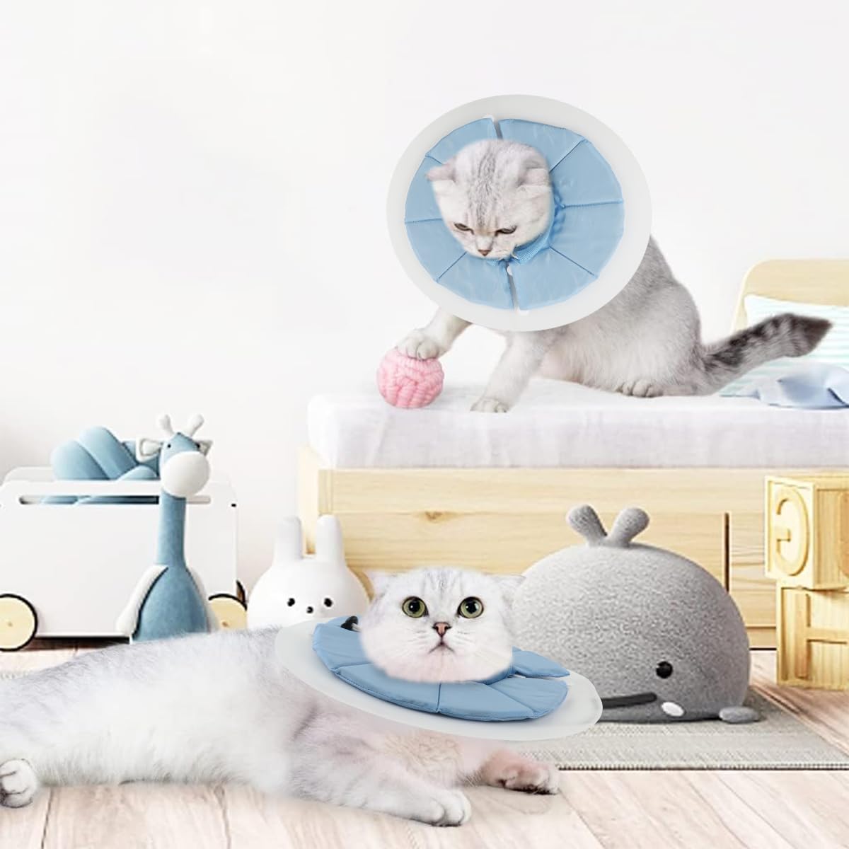 Qpets Cat Cone PVC Cat Recovery Cone with Soft Pillow, After Surgery for Anti-Licking Cat Cone, Surgery Recovery Cone for Small Pet (M, 20-34cm) Qpets Cat Cone PVC Cat Recovery Cone with Soft Pillow, After Surgery for Anti-Licking Cat Cone, Surgery Recovery Cone for Small Pet (M, 20-34cm)